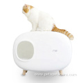training cat litter box fashion and lightweight toilets